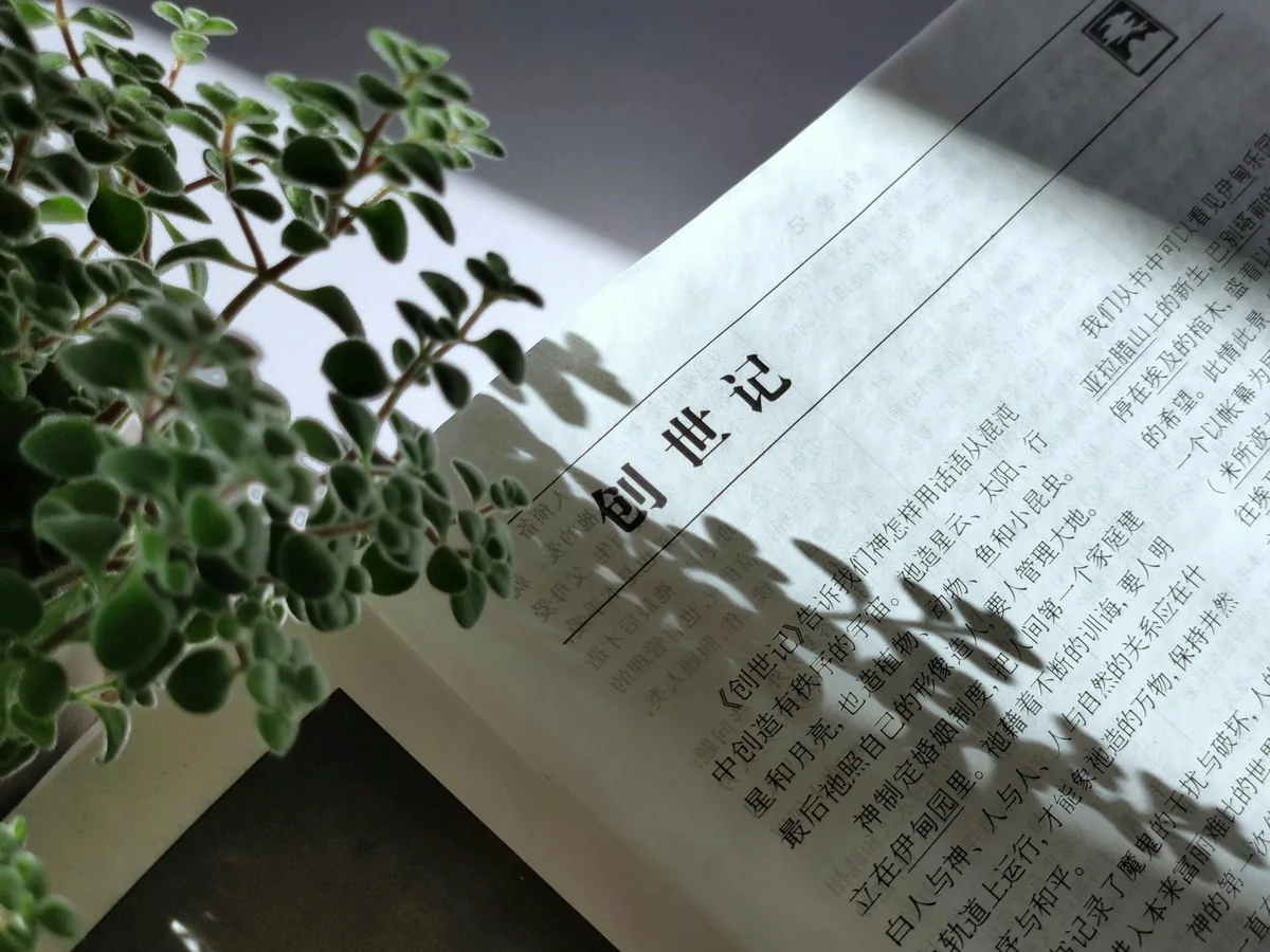 编务整理桌面上的条目比对与线索归类工作场景